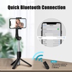 Selfie Stick Tripod with Bluetooth Remote, TEUMI Lightweight Monopod Mini Pocket Tripod for Cell Phone, Travel Tripod Compatible with iPhone 13 Pro Max, 12 Mini, 11 Pro Max, XS Max, XR, X, 8 Plus